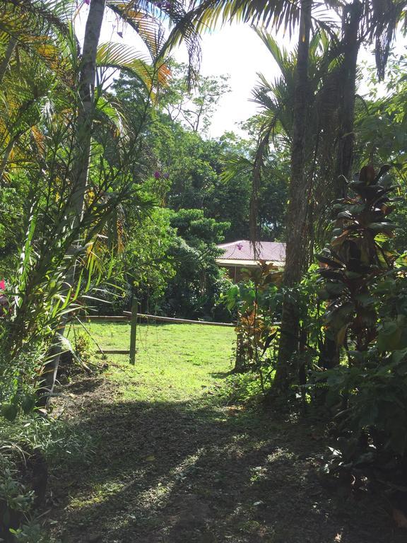 Magellan Boutique Hotel Cahuita Bagian luar foto