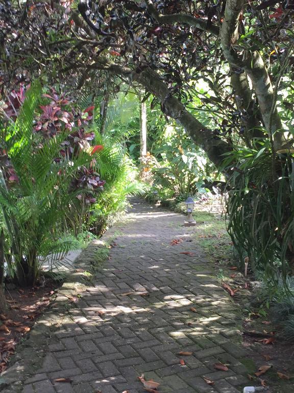Magellan Boutique Hotel Cahuita Bagian luar foto