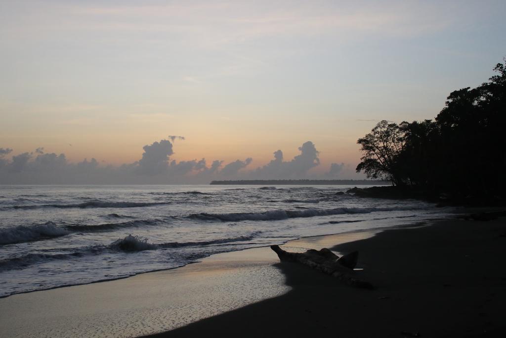 Magellan Boutique Hotel Cahuita Bagian luar foto