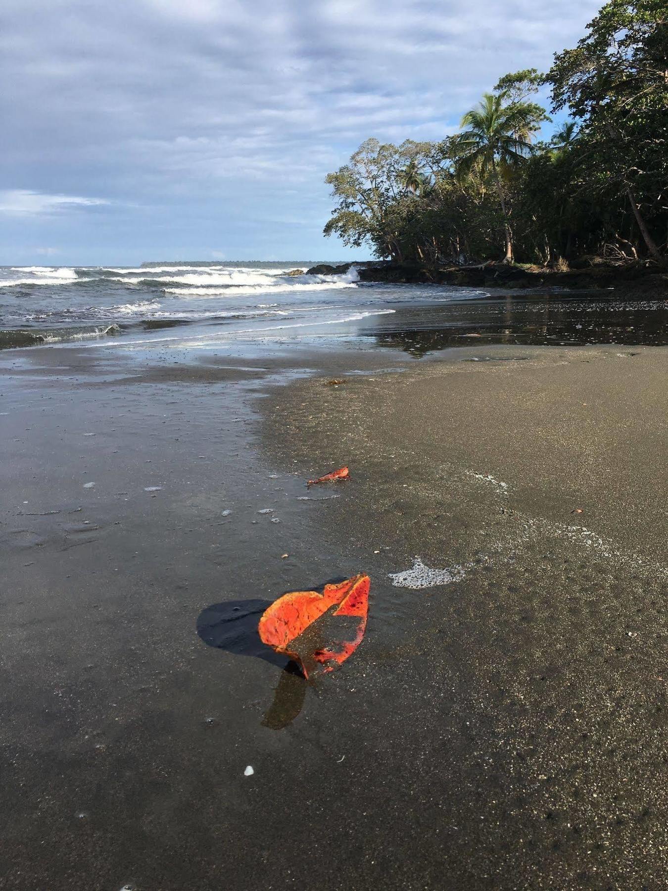 Magellan Boutique Hotel Cahuita Bagian luar foto